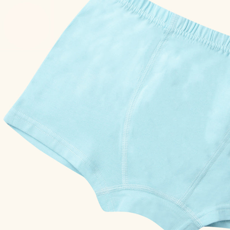 LARK Boxer Briefs for Boys