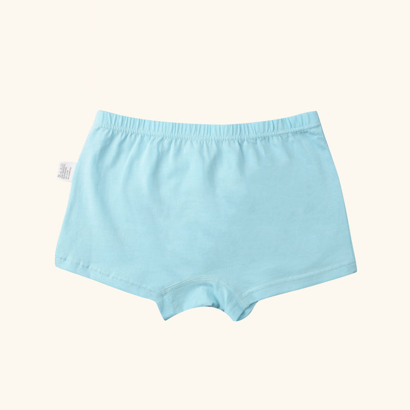 LARK Boxer Briefs for Boys
