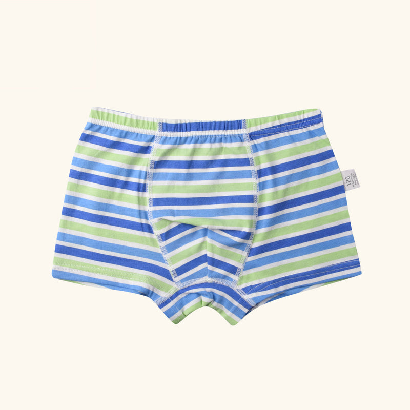 LARK Boxer Briefs for Boys