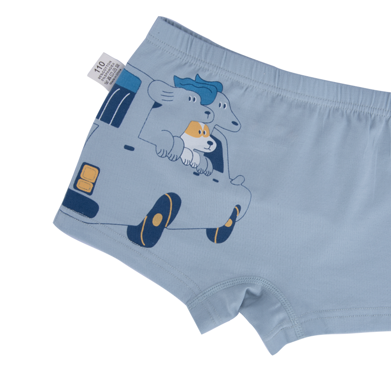 AUSTIN BOXER BRIEFS FOR BOYS
