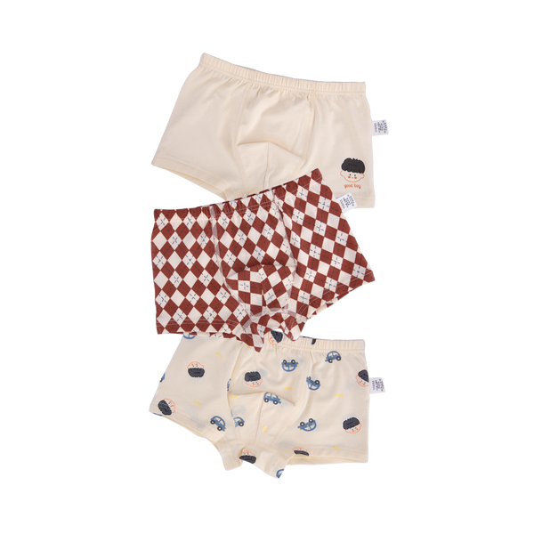 BLAKE BOXER BRIEFS FOR BOYS