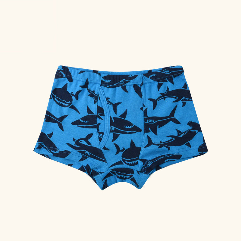 RAGA Boxer Briefs for Boys