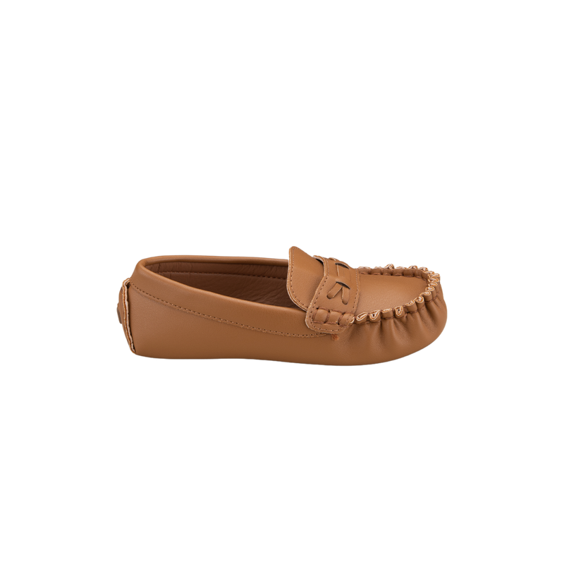 ARLO2 Tan