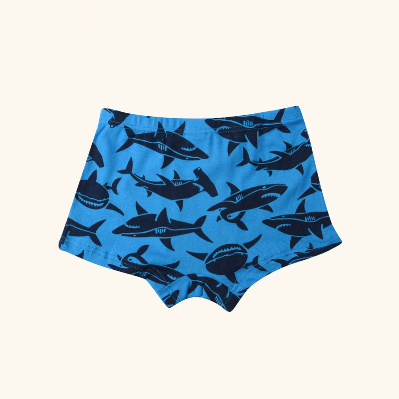 RAGA Boxer Briefs for Boys