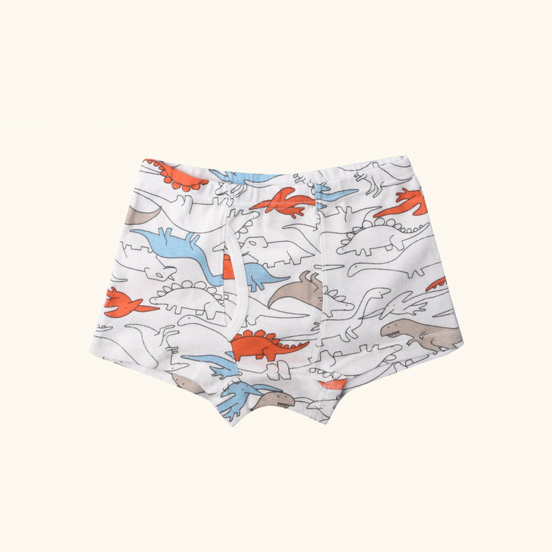 RAGA Boxer Briefs for Boys