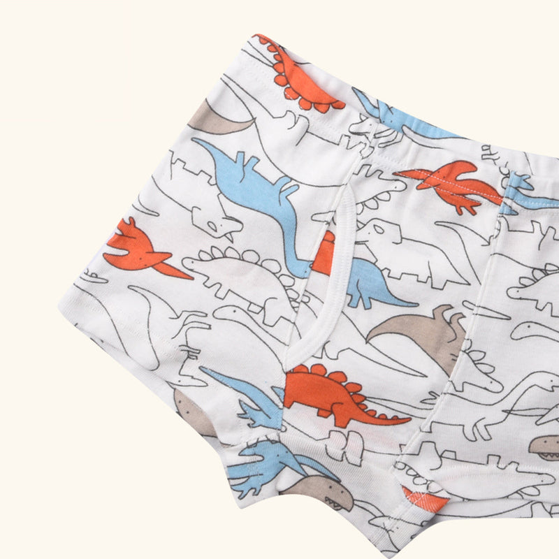RAGA Boxer Briefs for Boys