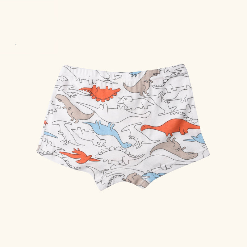 RAGA Boxer Briefs for Boys