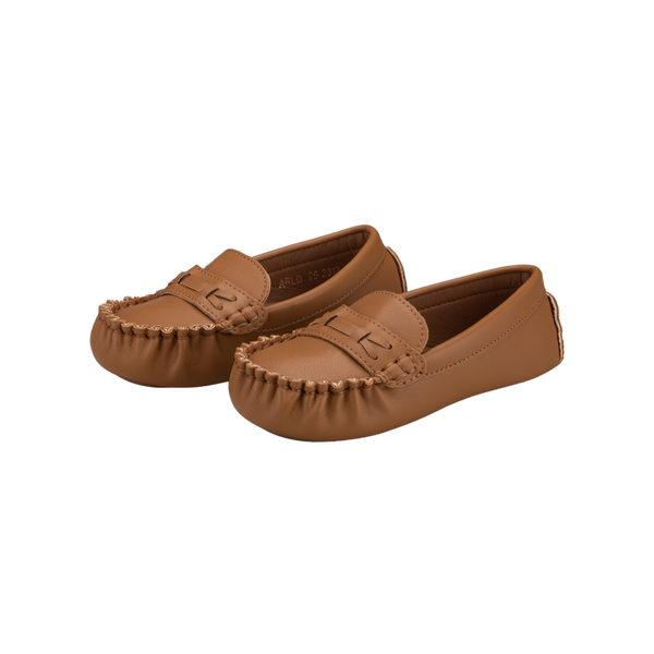 ARLO2 Tan