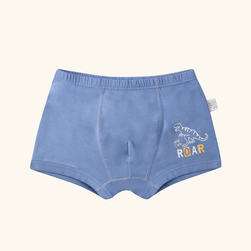 LYRIC Boxer Briefs for Boys