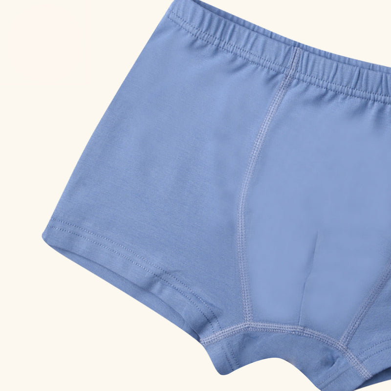 LYRIC Boxer Briefs for Boys