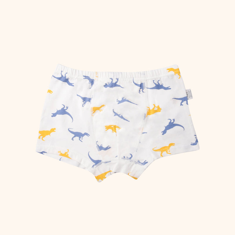 LYRIC Boxer Briefs for Boys