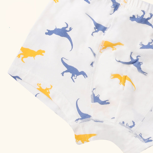LYRIC Boxer Briefs for Boys