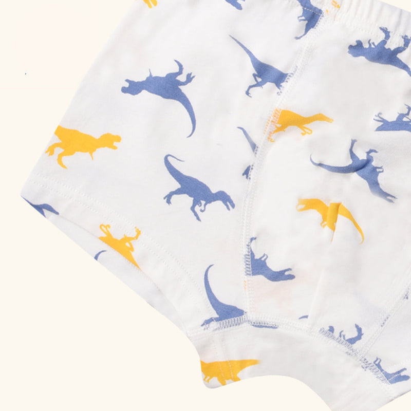 LYRIC Boxer Briefs for Boys