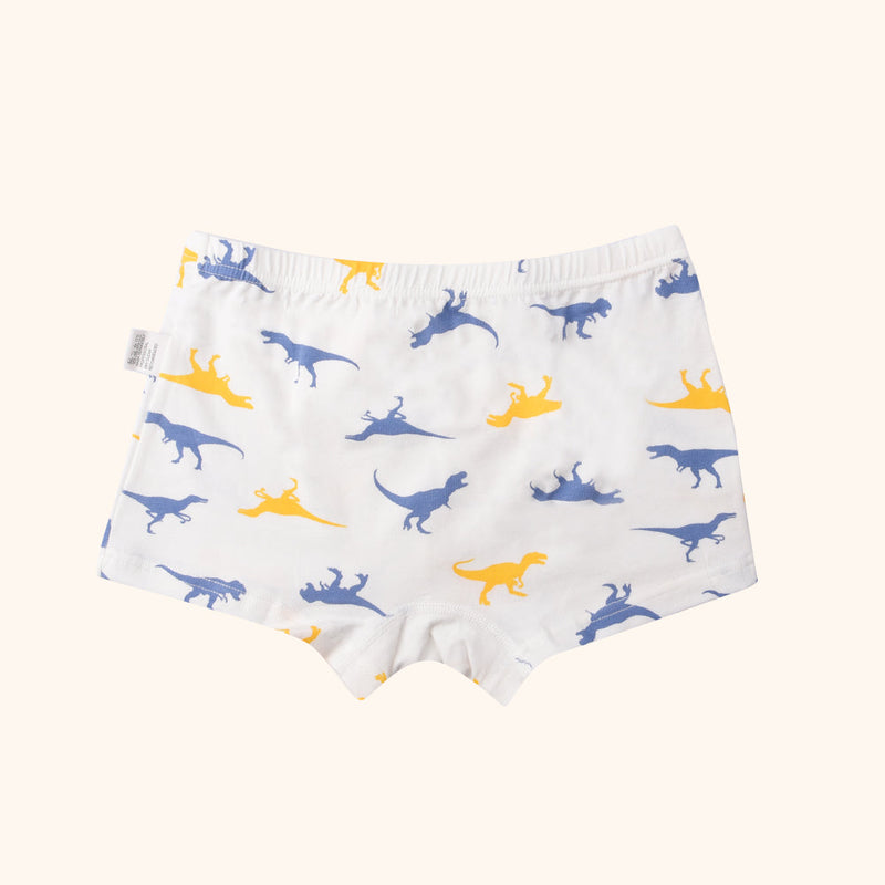 LYRIC Boxer Briefs for Boys