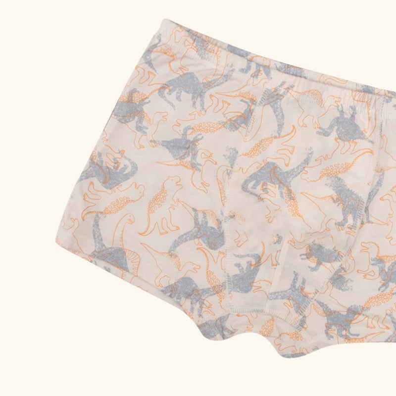 STRUMMER Boxer Briefs for Boys