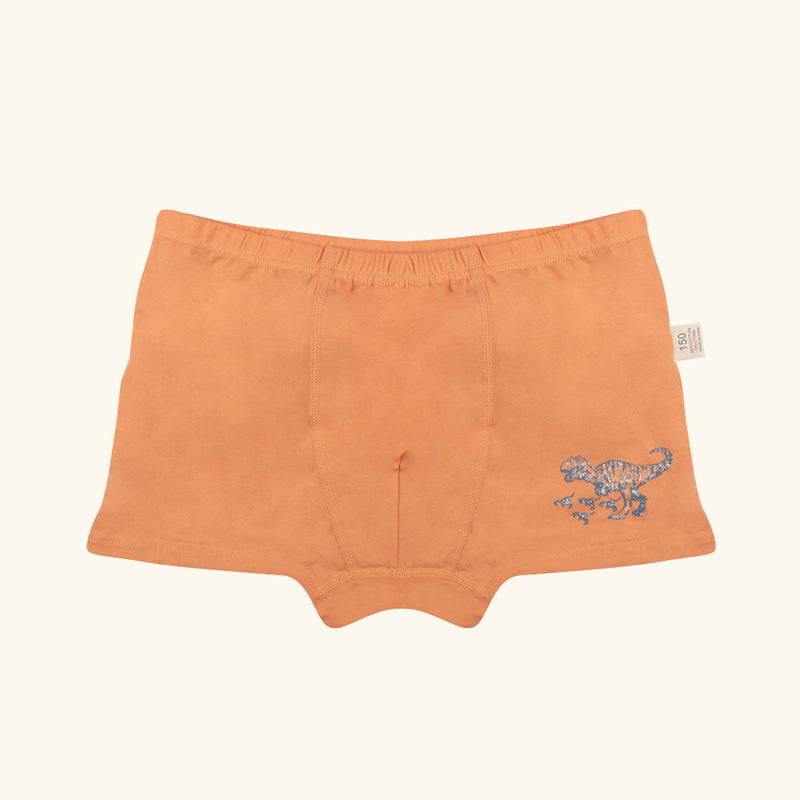 STRUMMER Boxer Briefs for Boys
