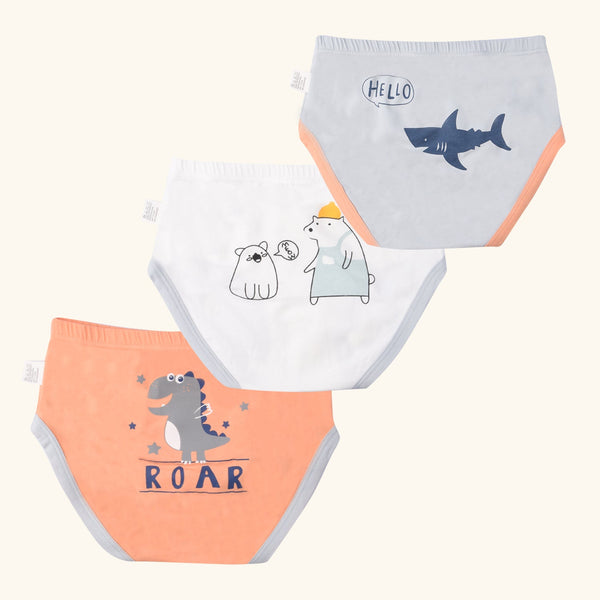CLARION Briefs for Boys