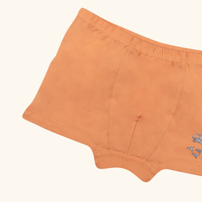 STRUMMER Boxer Briefs for Boys