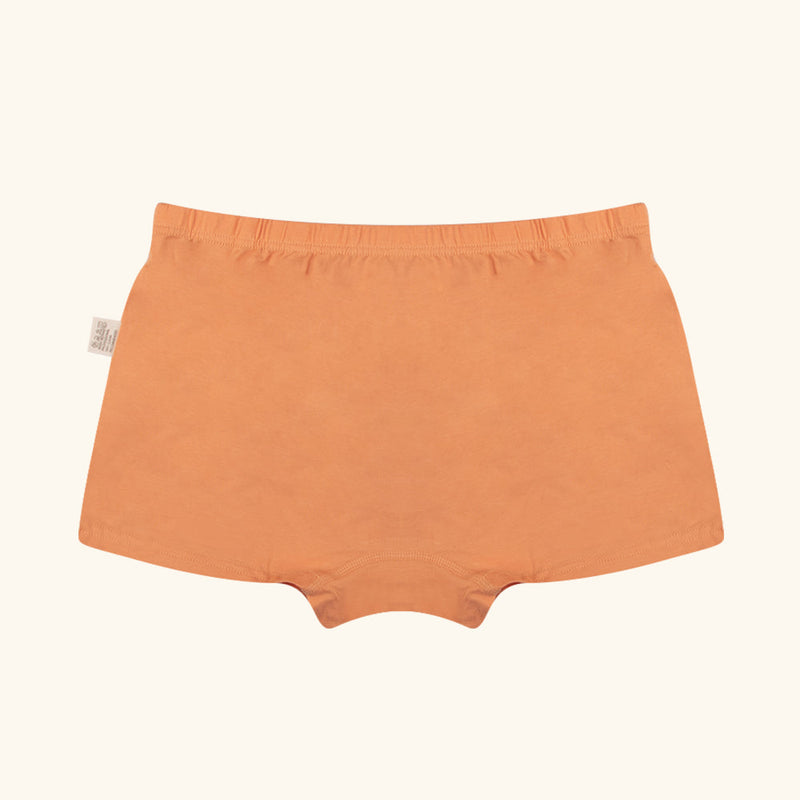 STRUMMER Boxer Briefs for Boys