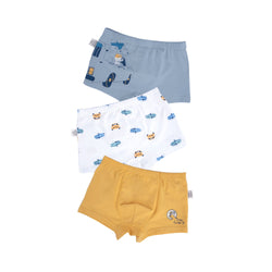 AUSTIN BOXER BRIEFS FOR BOYS