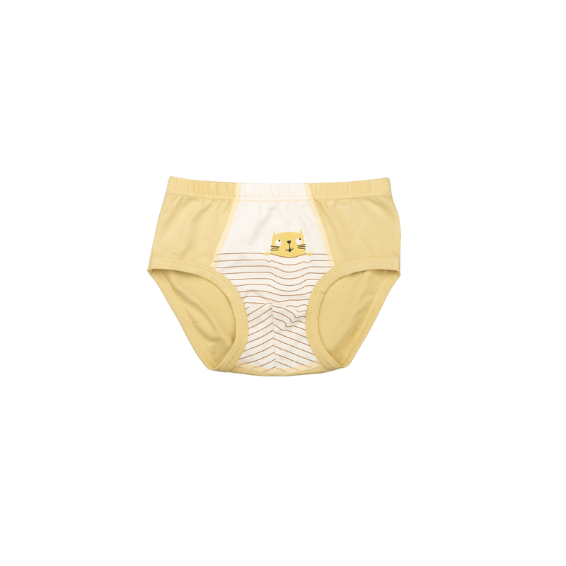 DEX Briefs for Boys
