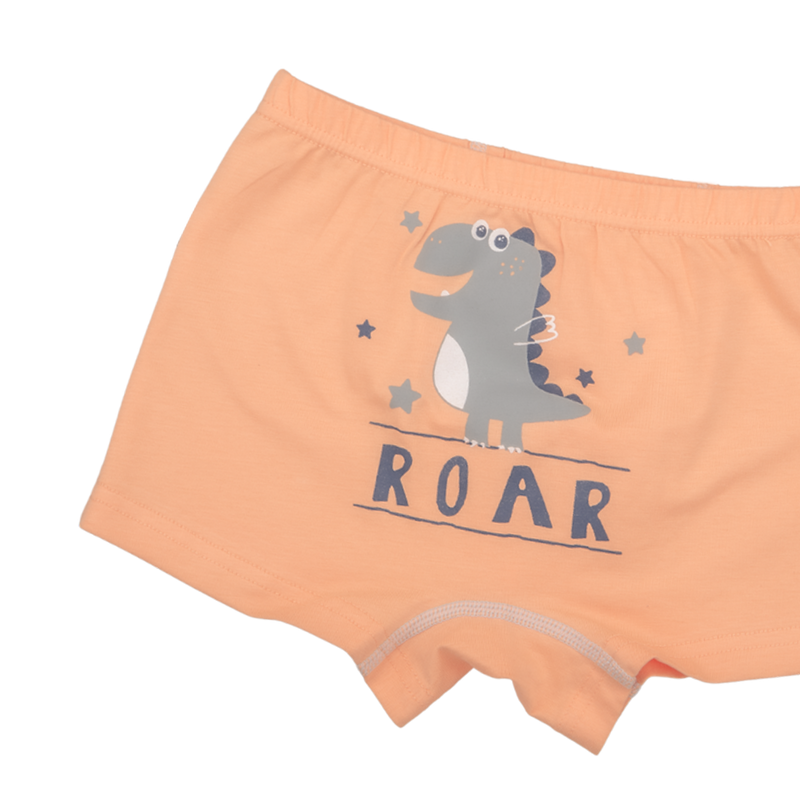 AMIR BOXER BRIEFS FOR BOYS