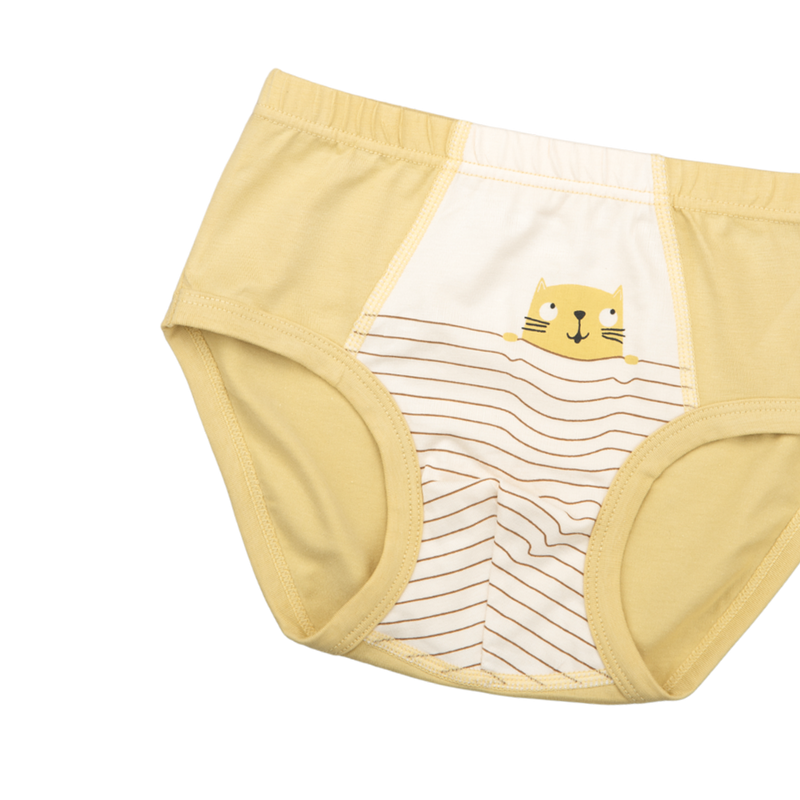 DEX Briefs for Boys