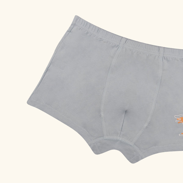 STRUMMER Boxer Briefs for Boys