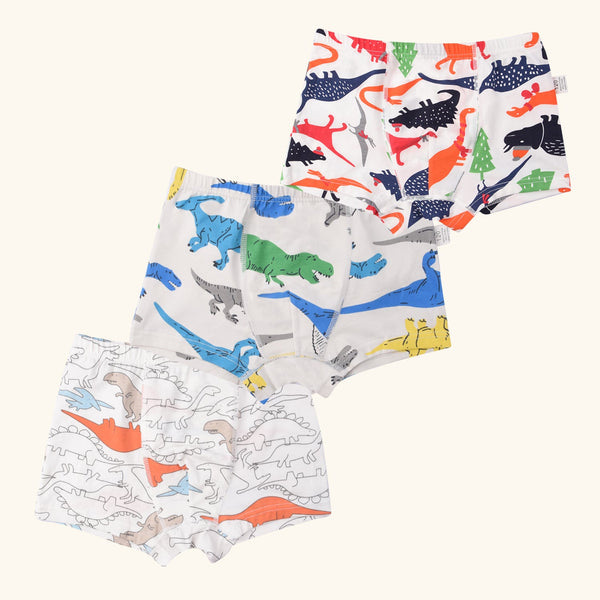 HARP Boxer Briefs for Boys