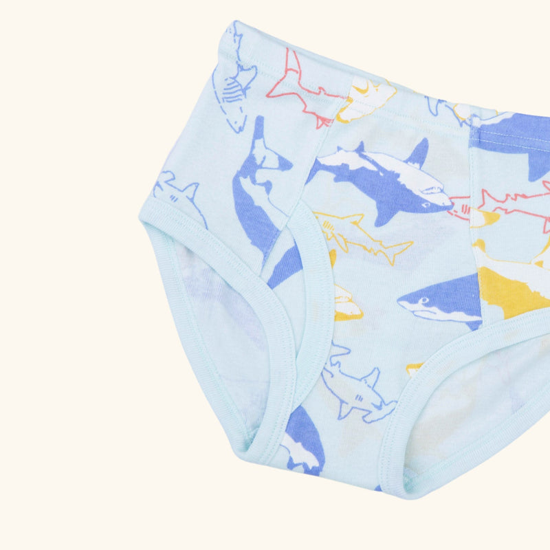 REID BRIEFS FOR BOYS
