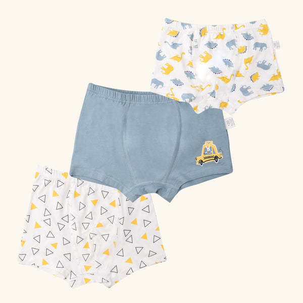MANDOLIN Boxer Briefs for Boys
