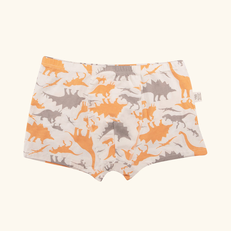 STRUMMER Boxer Briefs for Boys