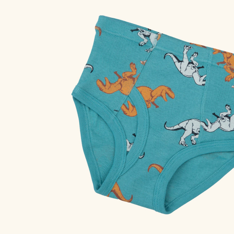 REID BRIEFS FOR BOYS