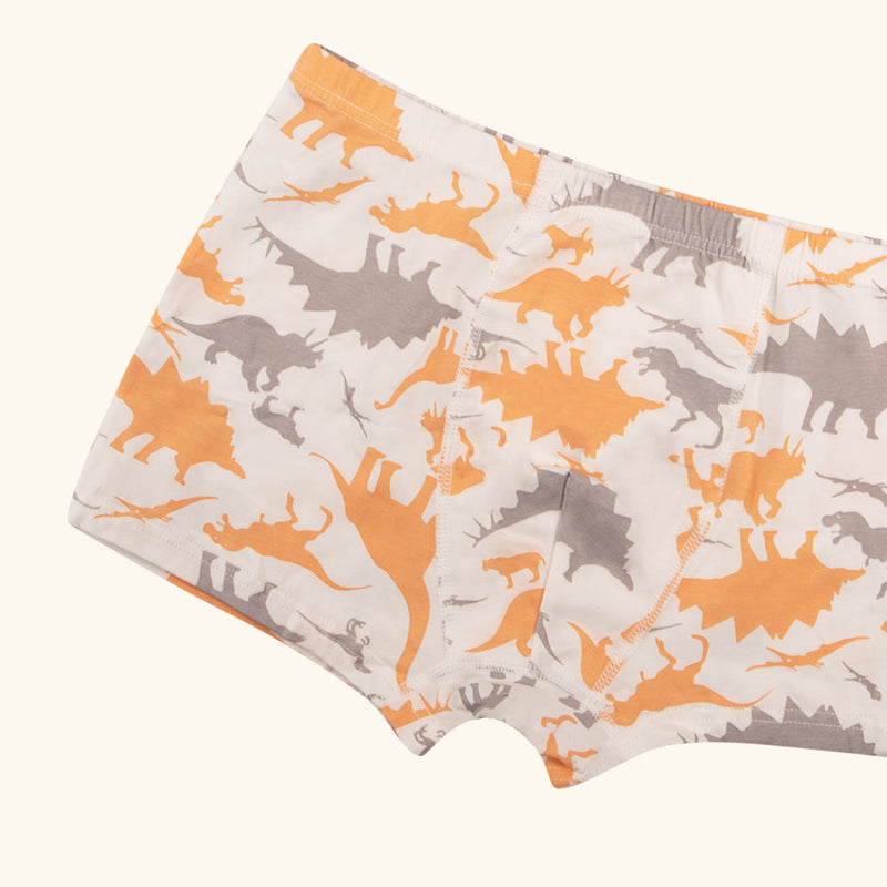 STRUMMER Boxer Briefs for Boys