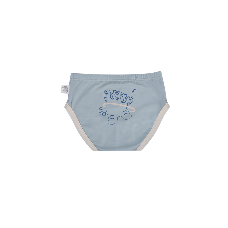 CODY Briefs for Boys