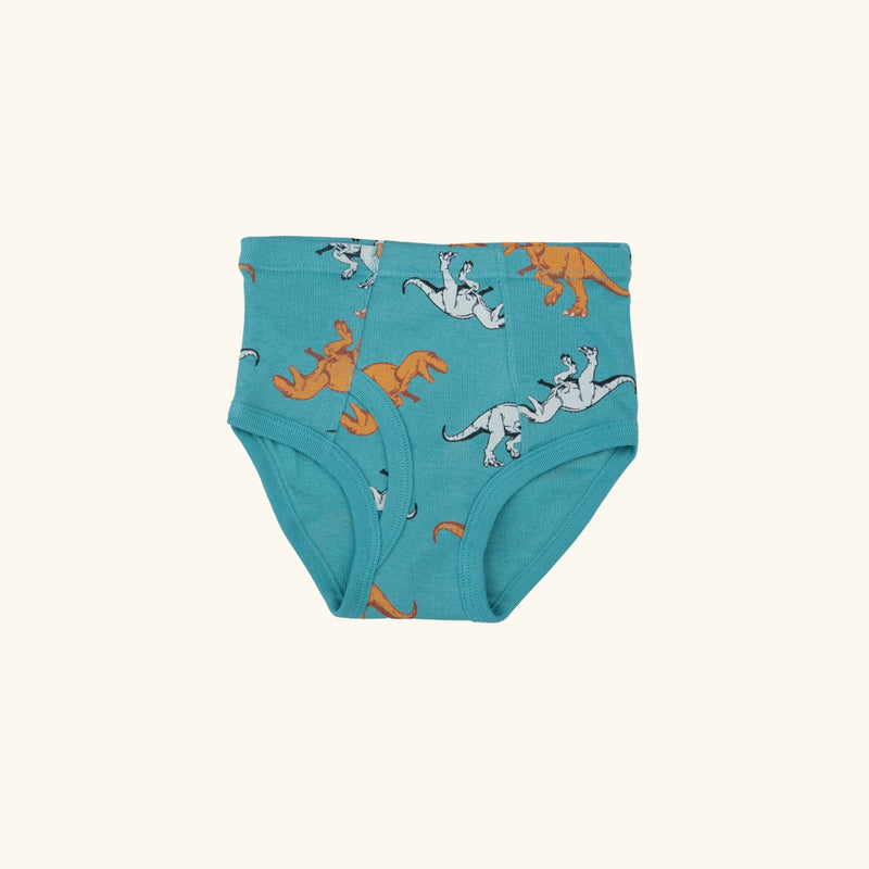 REID BRIEFS FOR BOYS