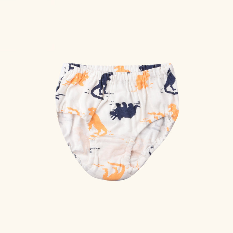 FIFER Briefs for Boys