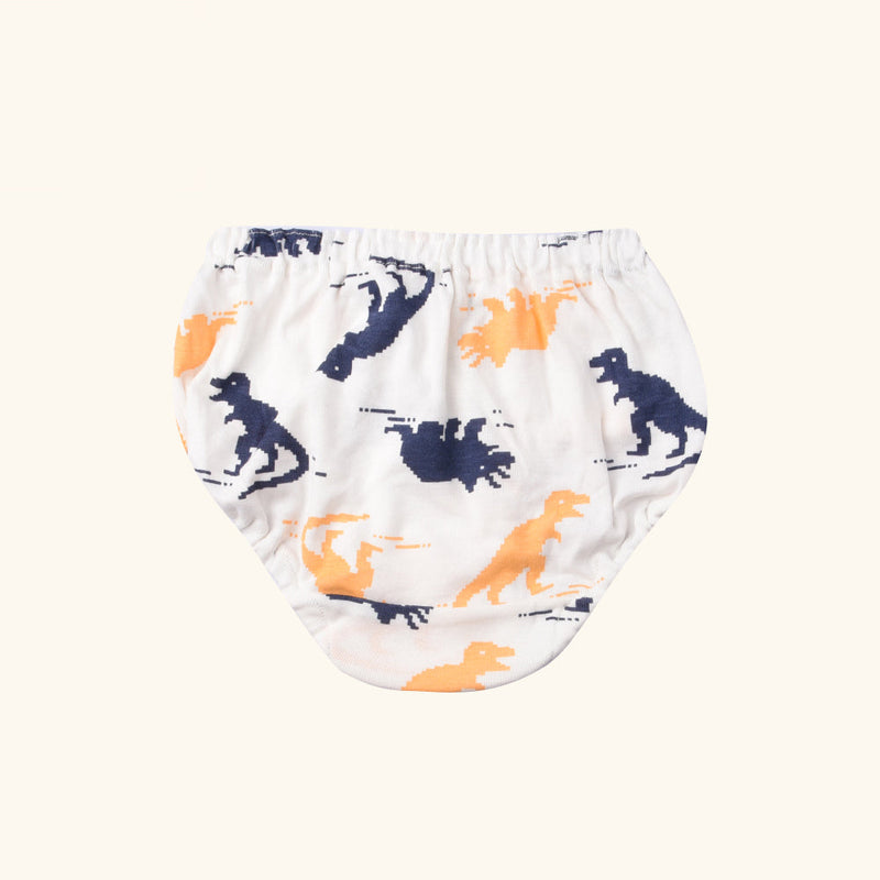 FIFER Briefs for Boys