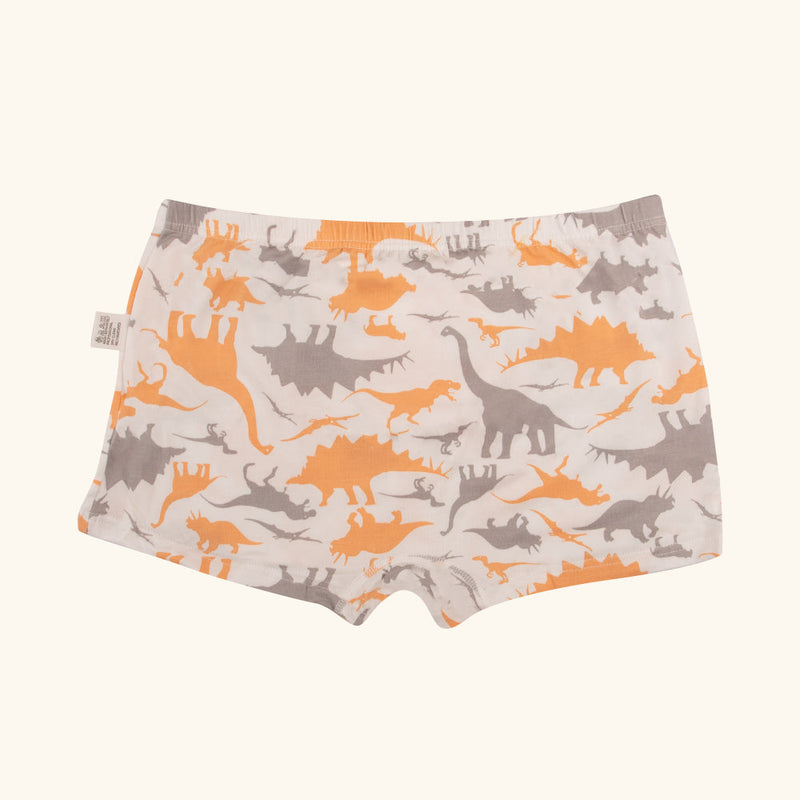 STRUMMER Boxer Briefs for Boys
