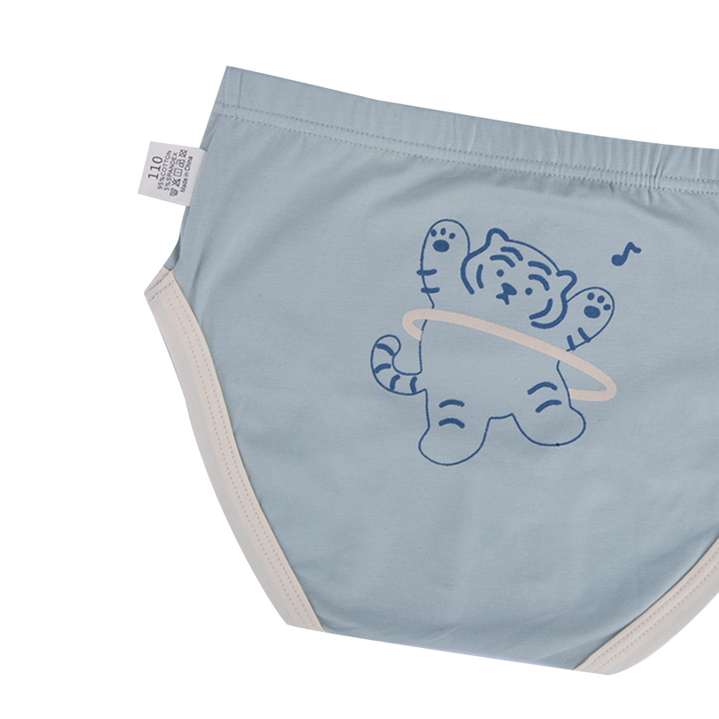 CODY Briefs for Boys