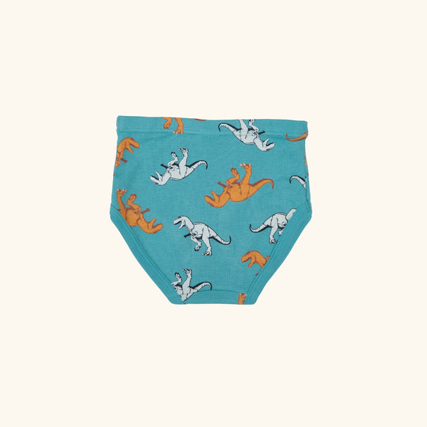 REID BRIEFS FOR BOYS