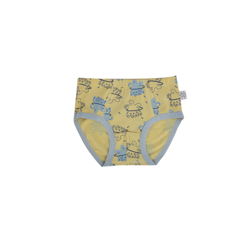 CODY Briefs for Boys