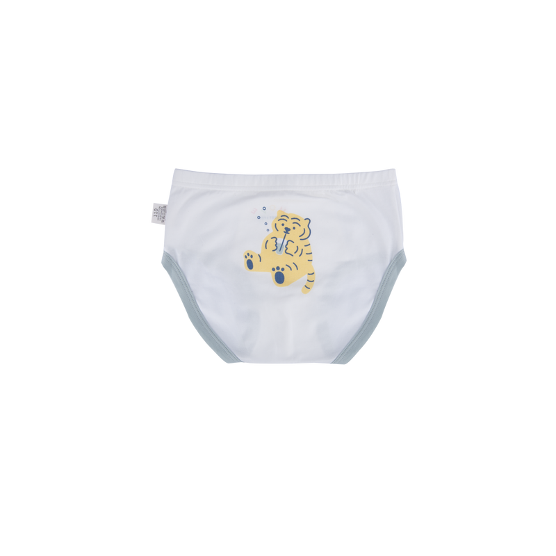 CODY Briefs for Boys