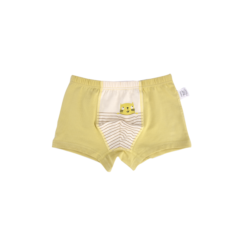 AVERY BOXER BRIEFS FOR BOYS