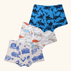 RAGA Boxer Briefs for Boys