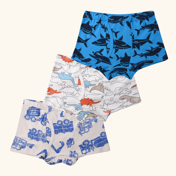 RAGA Boxer Briefs for Boys