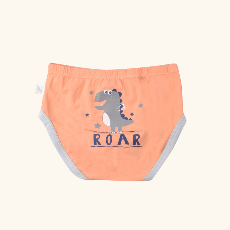 CLARION Briefs for Boys