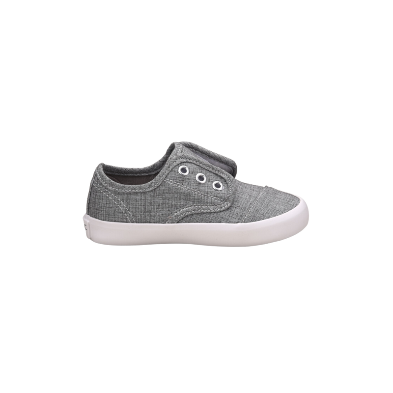 BEAR Gray
