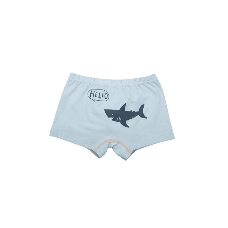AMIR BOXER BRIEFS FOR BOYS