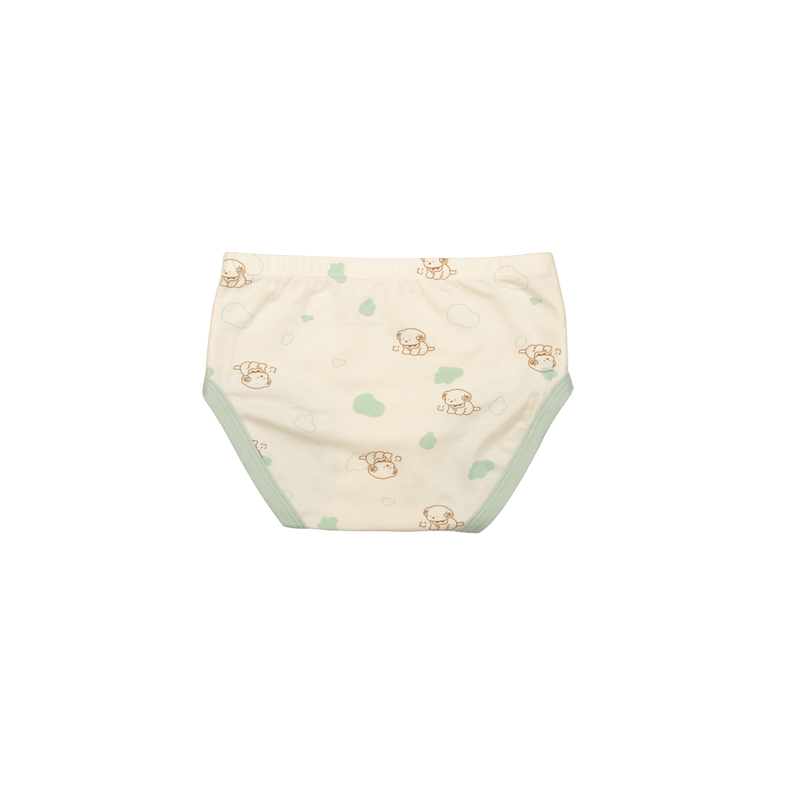 DEX Briefs for Boys